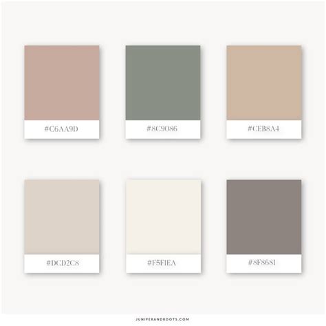 Neutral Branding And Earth Toned Colour Palettes Juniper Roots