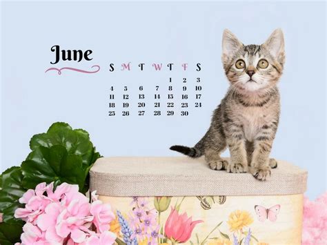 June 2017 Desktop Calendars