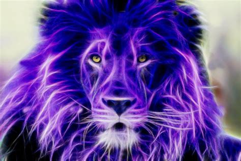 Purple Tiger Wallpapers - Top Free Purple Tiger Backgrounds ...