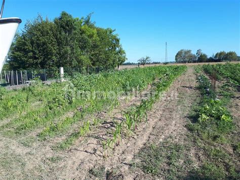 Terreno Edificabile Viale Venezia 33 San Giorgio Di Nogaro Rif