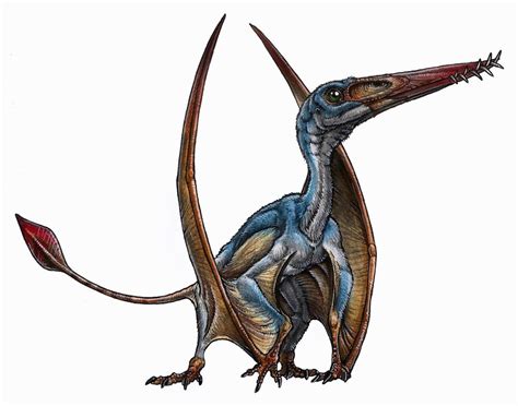 New Pterosaur Species With Intact Skull Uncovered In Patagonia Live