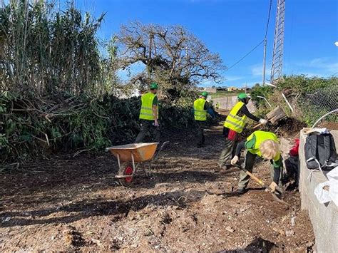 La Laguna limpia más de 21 000 metros cuadrados de barrancos del