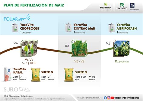 Plan De Fertilización Maíz Romero Fertilizantes