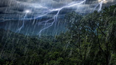 Rain Forest Thunder And Rain Sleep Sounds White Noise 10 Hours Youtube