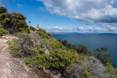 Wineglass Bay Walk And Hazards Beach Circuit 2024 Guide