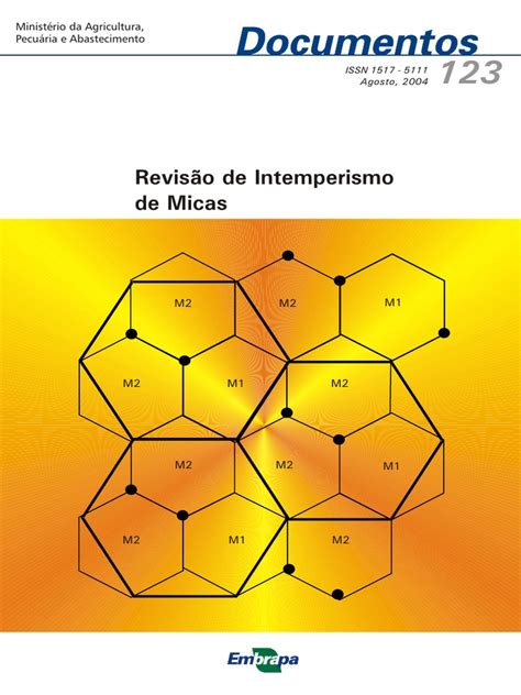 PDF Revisao De Intemperismo De Micas DOKUMEN TIPS