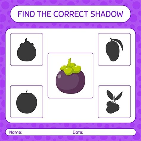 Vibrant Mangosteen Silhouette A Playful Matching Game Jiffy Designs