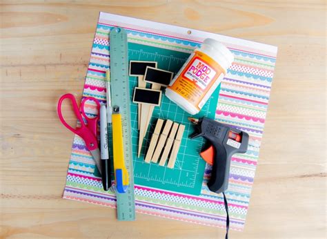 Fun And Functional Diy Chip Clips From Clothespins Mod Podge Rocks