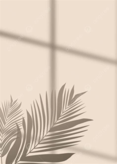 Elegant Plant Shadow Background Leaf Plant Elegant Background Image For Free Download