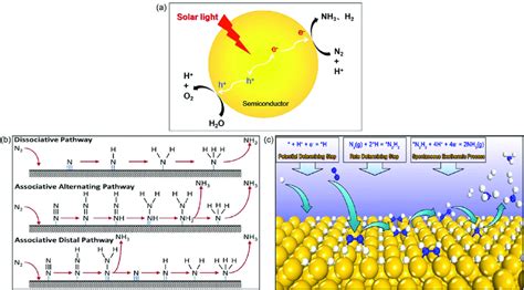 A Photocatalytic Synthesis Of Nh In Water B The Proposed