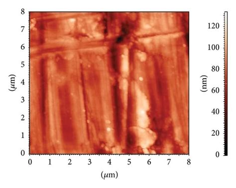 The Topography Afm Images Of Fresh Mild Steel A Two Dimensional