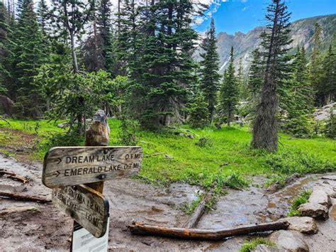 Learn How To Hike Emerald Lake Path In Rocky Mountain Nationwide Park