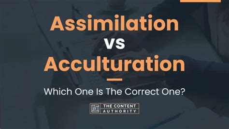 Assimilation vs Acculturation: Which One Is The Correct One?