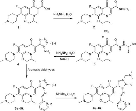 Scheme 1 Synthetic Route To Schiff 5a 5k And Schiff Mannich 6a 6k