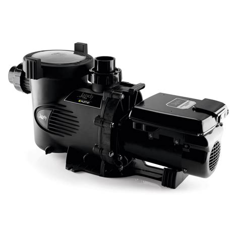 Jandy Variable Speed Pump