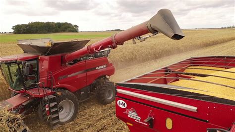 Harvest Action Case Ih Youtube