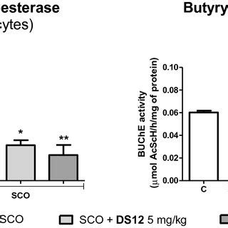 Effect Of Iso On Scopolamine Induced Memory Impairment A Percentage