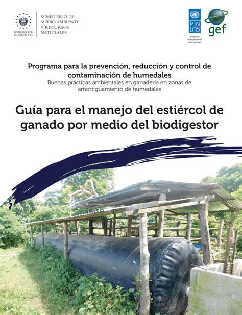 Programa Para La Prevención Reducción Y Control De La Contaminación De