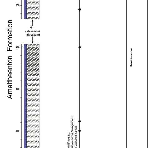 Litho And Biostratigraphy Of The Upper Amaltheenton Formation Upper