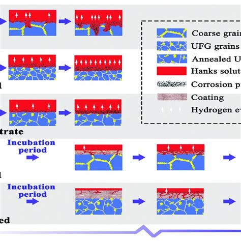 Real Applications Of Biodegradable Magnesium Implants A D Download Scientific Diagram