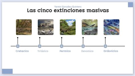 Linea De Tiempo Extinciones Masivas