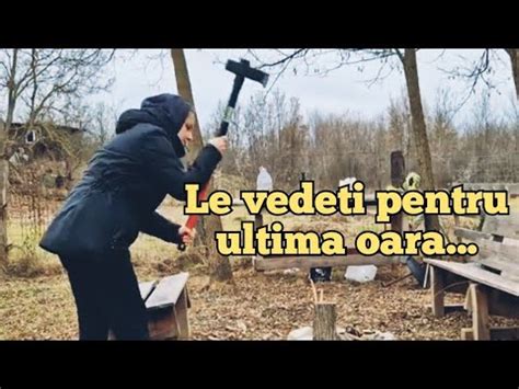 Beibi Sparge Lemne La Casu A De La Ar Pomana Porcului La Ceaun Youtube