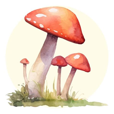 Premium Vector Watercolor Mushrooms Vector Illustration