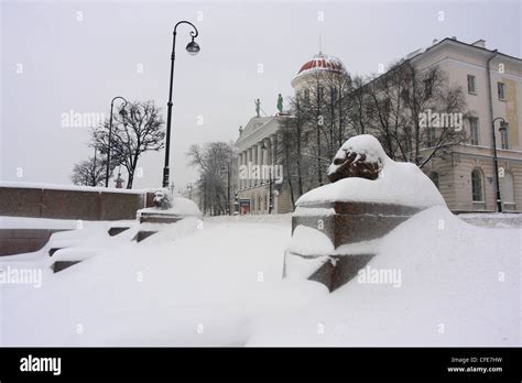 Russia Saint Petersburg Sculpture Of Lions Under Snow On Makarova