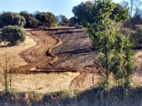 La Junta Rebaja A Nivel La Peligrosidad Del Incendio De Gallegos Del