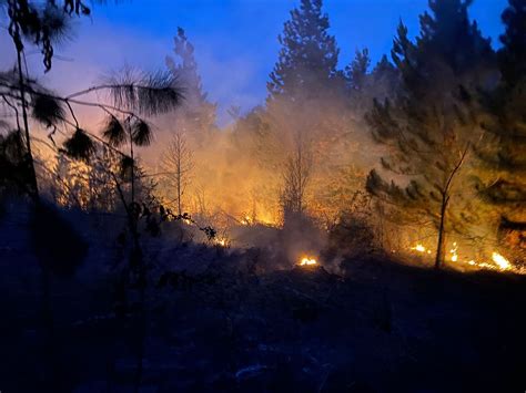 Incêndio de caminhão em rodovia de Piracicaba atinge região de mata