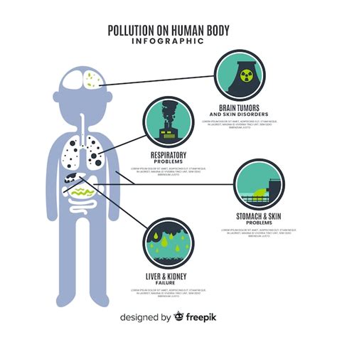 Free Vector Pollution On Human Body Infographic