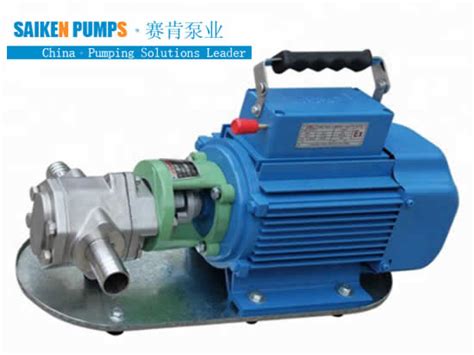 Stainless Steel Gear Pump With Peek Gears Saiken Pumps