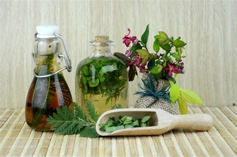 Fitoterapia Archivos Plantas Medicinales