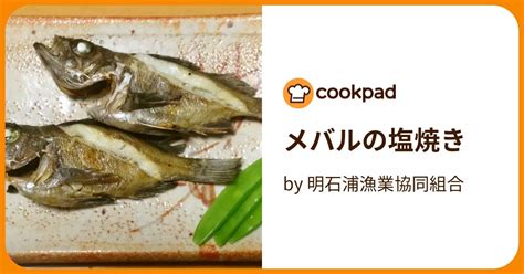 メバルの塩焼き By 明石浦漁業協同組合 【クックパッド】 簡単おいしいみんなのレシピが394万品