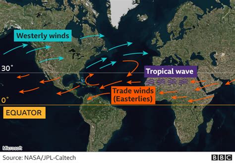 Hurricanes A Guide To The World S Deadliest Storms BBC News