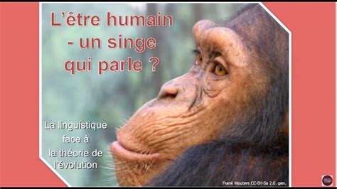 Roger Liebi L Tre Humain Un Singe Qui Parle Youtube