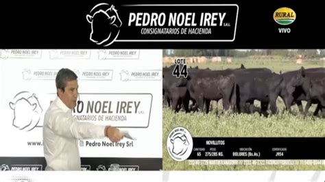 Resultados Del Remate Televisado De Pedro Noel Irey S R L