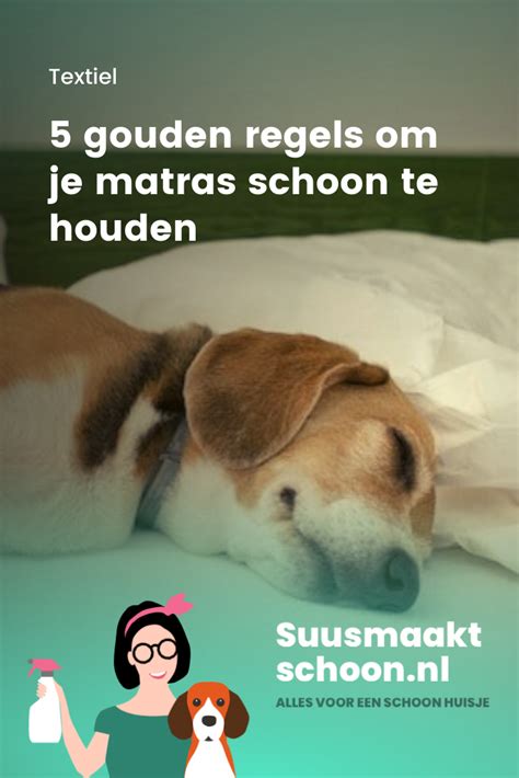 5 Gouden Regels Om Je Matras Schoon Te Houden Artofit