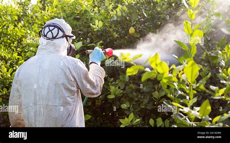 Men Spray Fumigation Industrial Chemical Agriculture Man Spraying