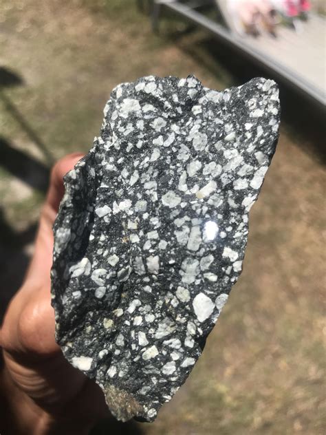 Any chance of this being porphyritic Andesite? : r/whatsthisrock