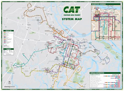 Cat Services Chatham Area Transit Cat