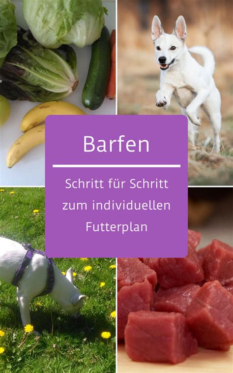 Futterpläne beim Barfen deshalb solltest du sie nutzen Barf Einfach