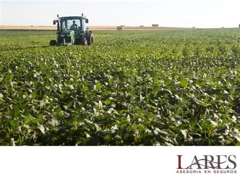 Seguros Para El Cultivo Lares Actualmente El Seguro Agrícola Es Una Herramienta Con Gran