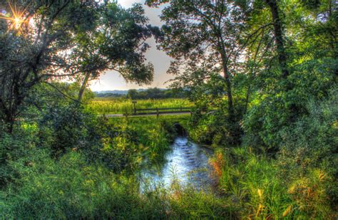 Stream In The Park At Chain O Lakes State Park Illinois Image Free