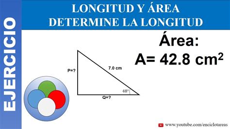 LONGITUD Y AREA DE UN TRIÁNGULO DETERMINE LA LONGITUD CATETOS YouTube