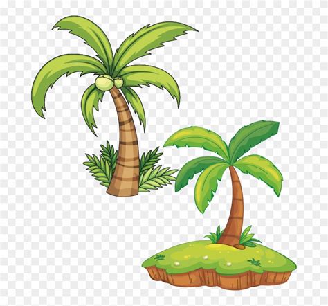 Plant Royalty Free Arecaceae Illustration Plant Royalty Free