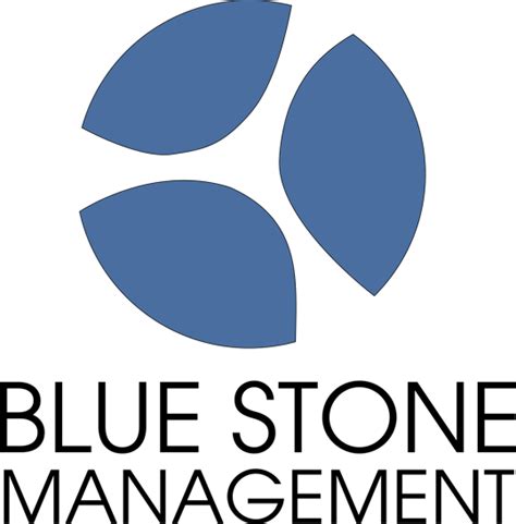 项目移交 Blue Stone Management