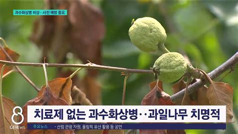 개화기 과수화상병 비상예방 중요