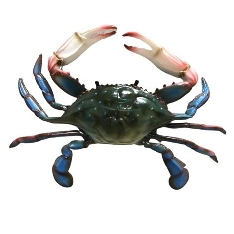 Realistic Blue Crab 10