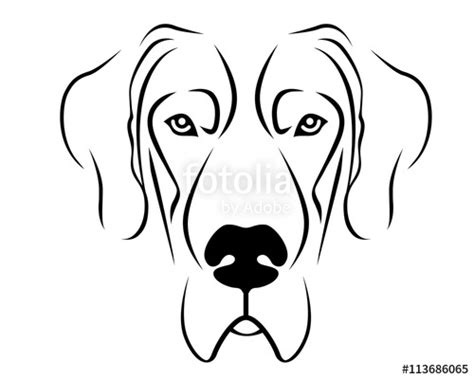 Dog Face Line Drawing At Getdrawings Free Download